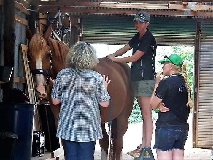 Horse Massage, Equine Sports therapy
